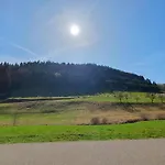 Am Siegelbaechle Appartement