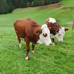Am Siegelbaechle * Gutach im Breisgau