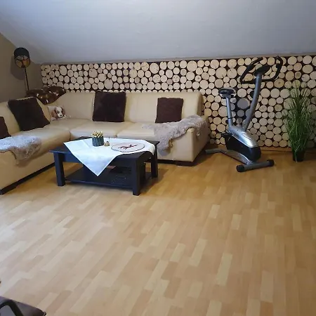 Apartment Am Siegelbächle Mit E-bikes Vermietung *