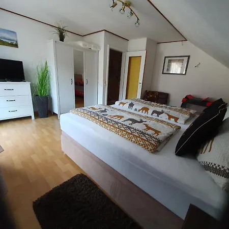 Am Siegelbächle Mit E-bikes Vermietung * Gutach im Breisgau