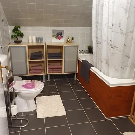 Apartment Am Siegelbächle Mit E-bikes Vermietung Gutach im Breisgau