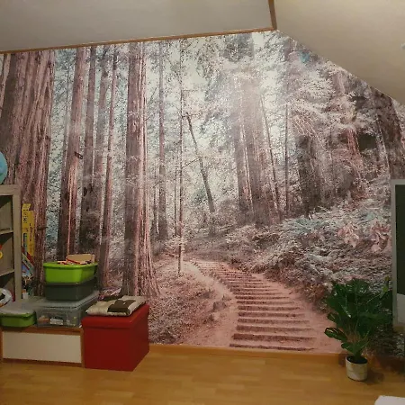 Am Siegelbächle Mit E-bikes Vermietung Gutach im Breisgau