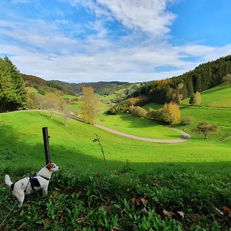 Am Siegelbaechle