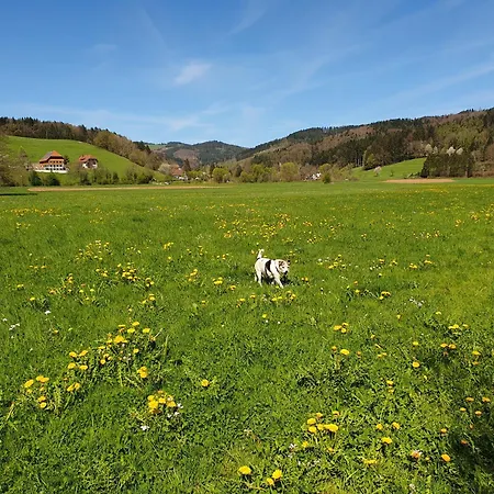 Am Siegelbaechle *
