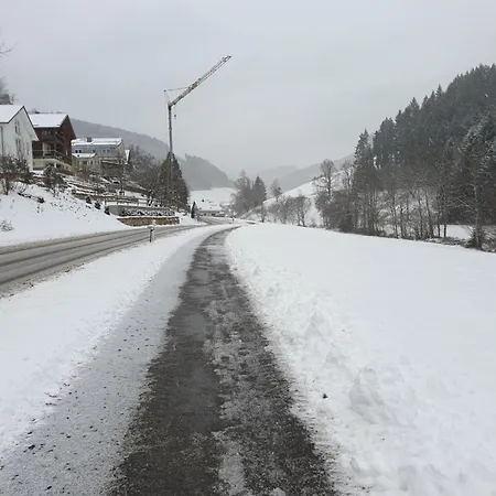 Am Siegelbaechle *