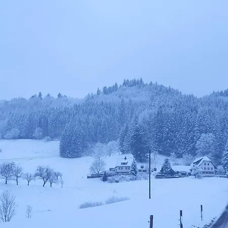 Am Siegelbaechle Lejlighed Gutach im Breisgau