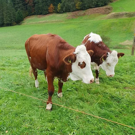 Am Siegelbaechle * Gutach im Breisgau