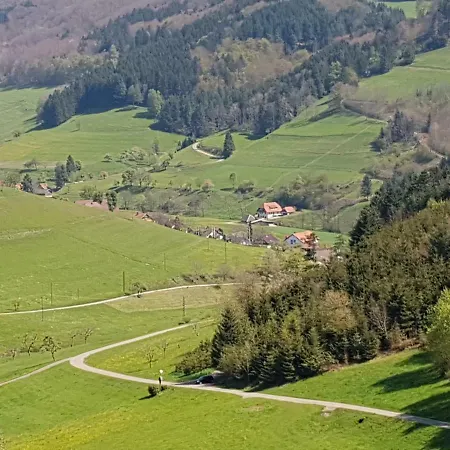 Am Siegelbaechle * Gutach im Breisgau