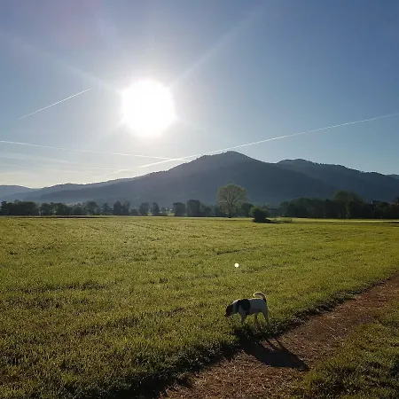 Am Siegelbächle Mit E-bikes Vermietung